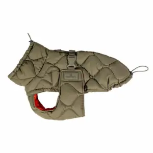 Kentucky Winter Pina Hondenjas Groen