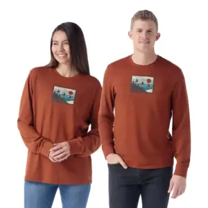 Smartwool Gondola Ride Graphic T-shirt Met Lange Mouwen Bruin