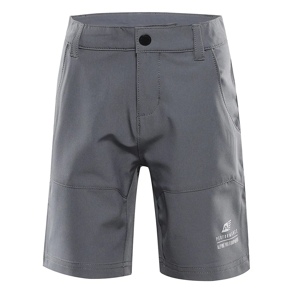 Alpine Pro Bako Korte Broek Grijs
