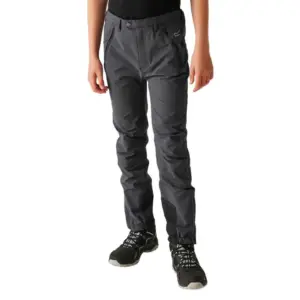 Regatta Tech Mountain Broek Grijs