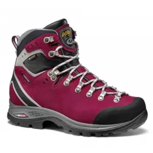 Asolo Greenwood Evo Gv Gore-tex® Wandelschoenen Grapeade