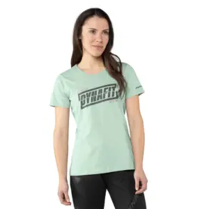Dynafit Graphic T-shirt Met Korte Mouwen Jadelite / Tabloid