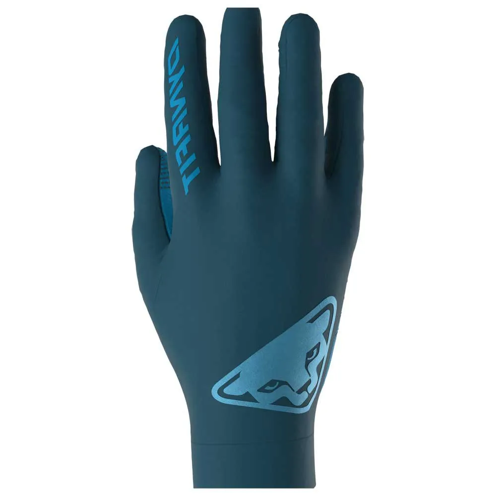 Dynafit Upcycled Light Handschoenen Overige kleuren