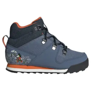 Adidas Terrex Snowpitch Disney Wandelschoenen Zwart