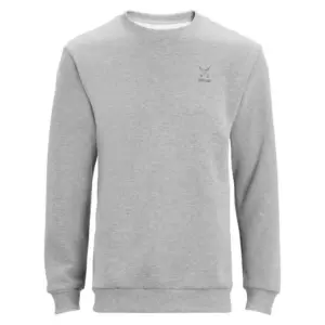 Altus Luxor Hoodie Grijs