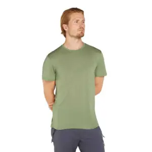 Icebreaker Merino Core T-shirt Met Korte Mouwen Lichen
