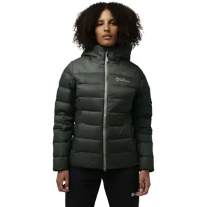 Jack Wolfskin Nebelhorn Down Jas Groen