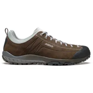 Asolo Space Gv Gore-tex® Wandelschoenen Bruin