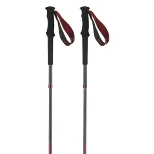 Salomon Quest Carbon Foldable Stokken Madder