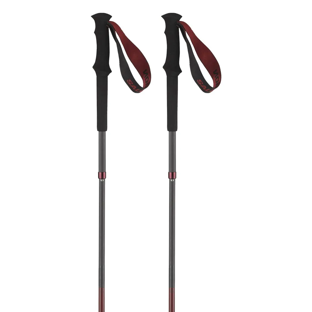 Salomon Quest Carbon Foldable Stokken Madder