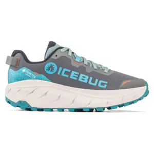 Icebug Arcus 2 Rb9x Gore-tex® Wandelschoenen Blauw