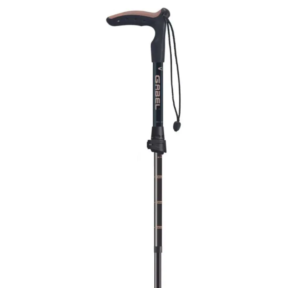 Gabel Explorer Wired F.l Xts Stokken Zwart