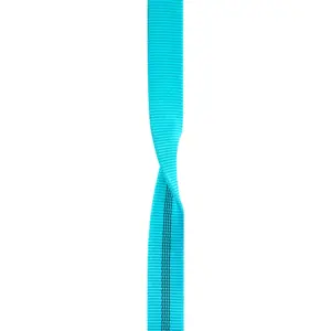 Edelrid X-tube 25 Mm Sling Icemint