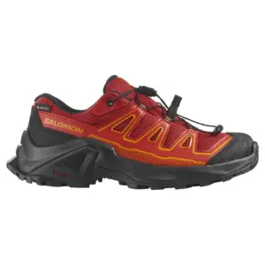 Salomon X Ultra Gore-tex® Wandelschoenen Zwart