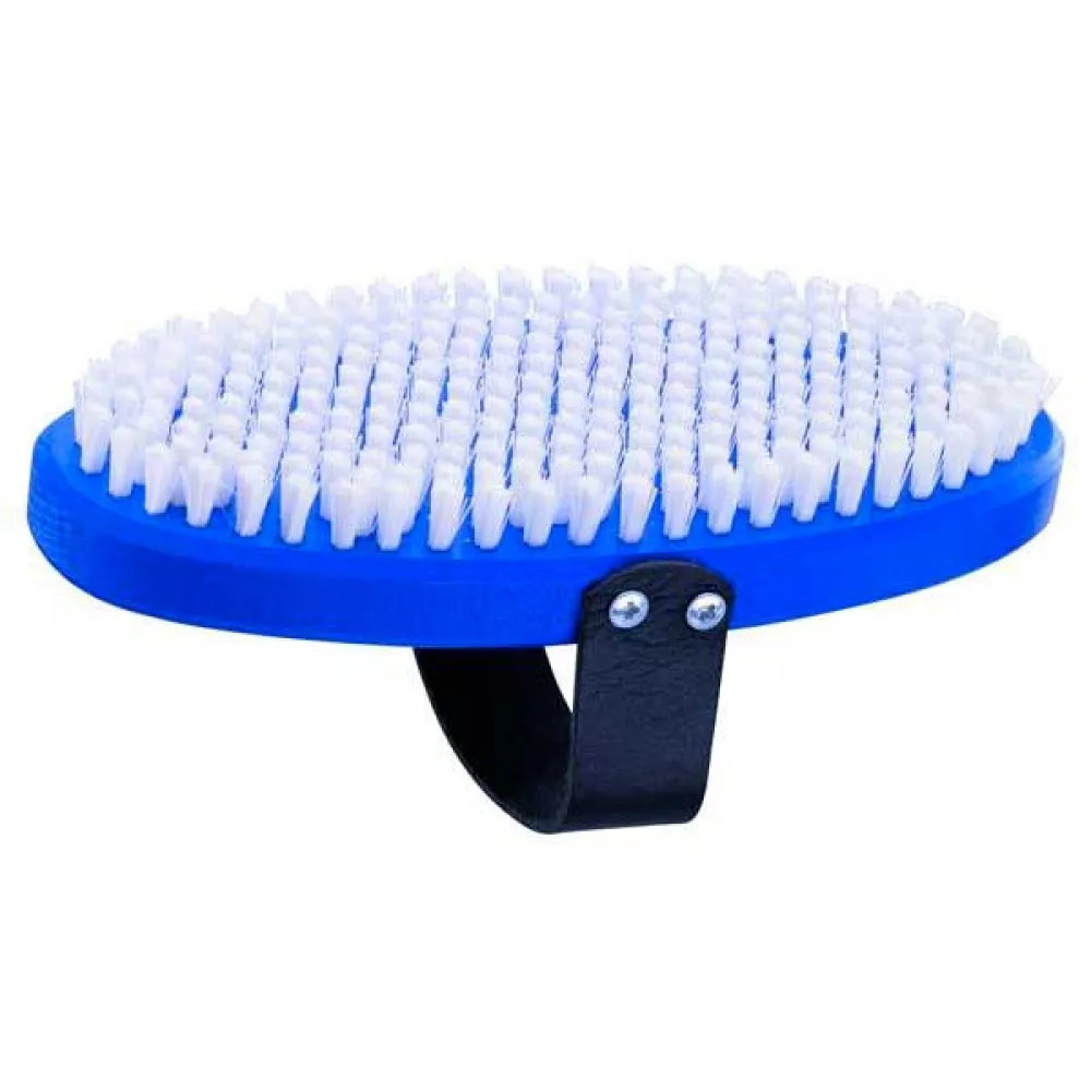 Holmenkol Nylon Ovale Borstel Blauw