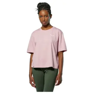 Salewa Eagle Glacier Loose T-shirt Met Korte Mouwen Zephyr