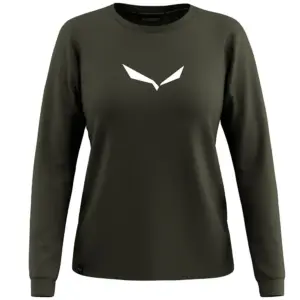 Salewa Eagle Solidlogo Dry T-shirt Met Korte Mouwen Olijf