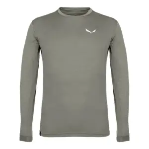 Salewa Puez Melange Dry´ton T-shirt Met Lange Mouwen Groen
