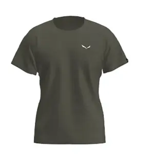 Salewa Puez Melange Dryton T-shirt Met Korte Mouwen Groen