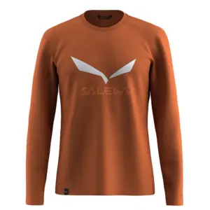 Salewa Solidlogo Dry´ton T-shirt Met Lange Mouwen Bruin