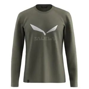 Salewa Solidlogo Dry´ton T-shirt Met Lange Mouwen Groen