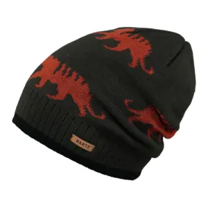 Barts Thorn Muts Zwart
