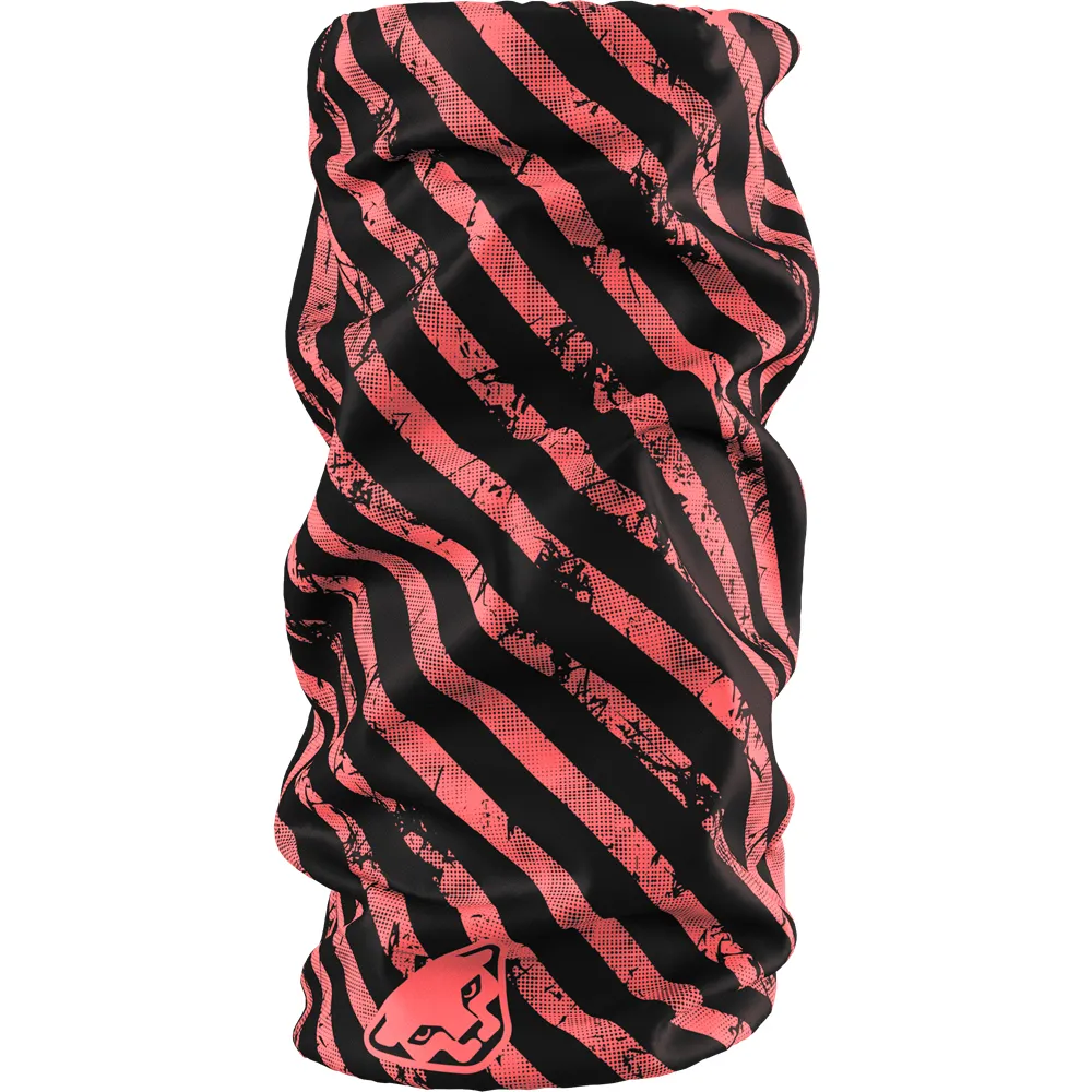 Dynafit Graphic Nekwarmer Cabana / Trail