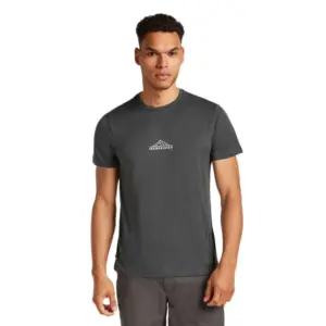 Icebreaker Merino 150 Tech Lite Road To Cook T-shirt Met Korte Mouwen Blauw