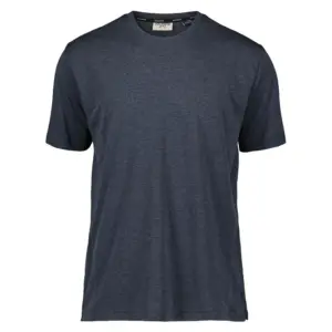 Dolomite Latemar Dri T-shirt Met Korte Mouwen Blauw