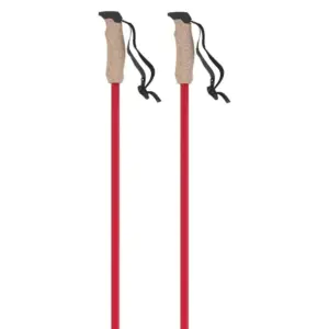 Atomic Amt Carbon Stokken Rood