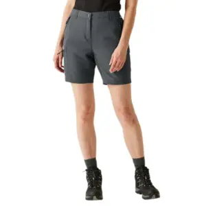 Regatta Chaska Iii Korte Broek Grijs