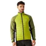 Groen