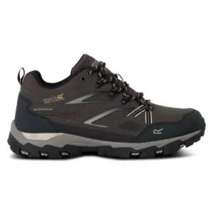 Regatta Holcombe Iii Low Wandelschoenen Goud