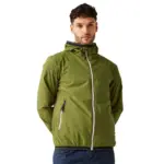 Groen