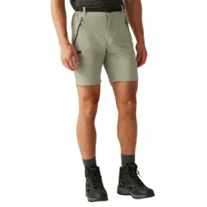 Regatta Xert Stretch Iii Korte Broek Golden Sun