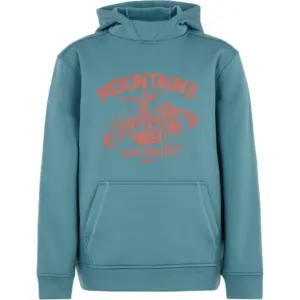 Protest Prtkestrel Hoodie Groen