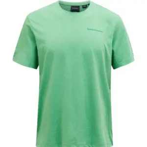 Peak Performance Explore Logo T-shirt Met Korte Mouwen Peppermint