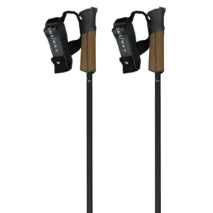 Fischer Gt 13 Carbon Mag Stokken Zwart