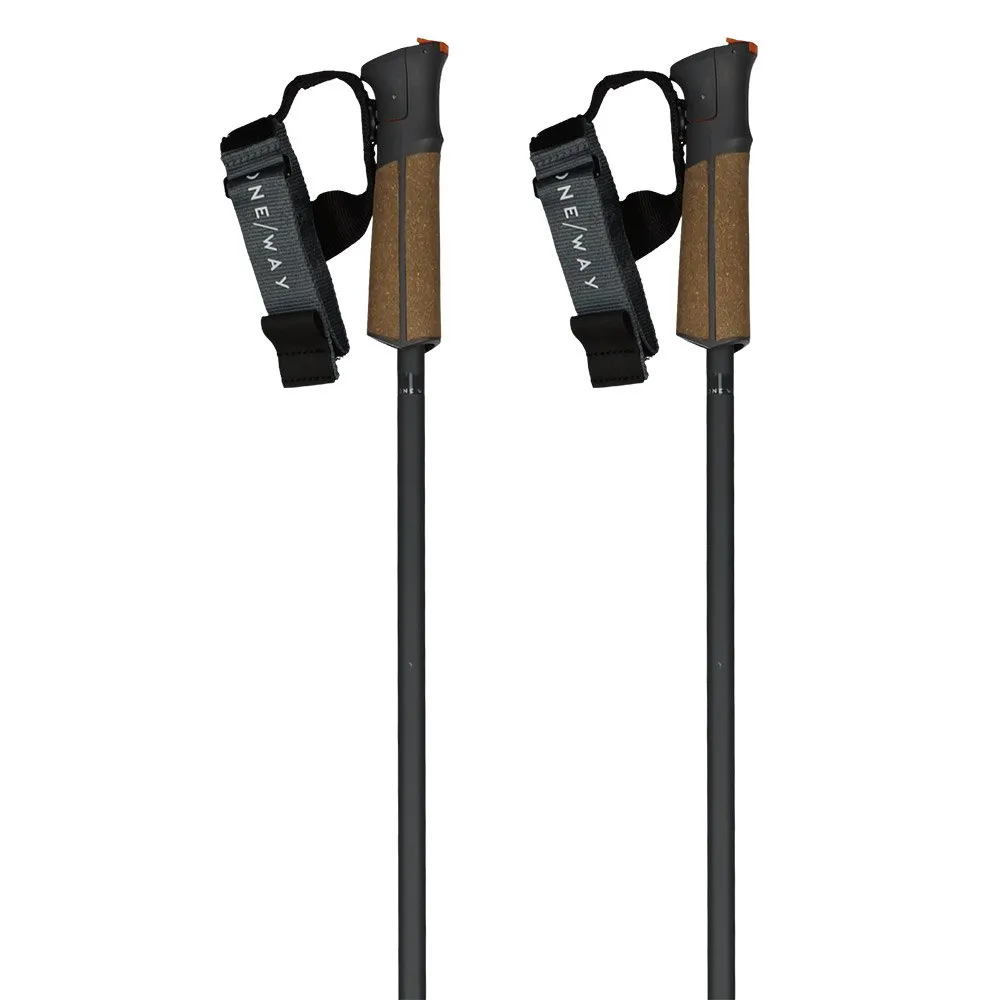 Fischer Gt 13 Comp Mag Stokken Blackberry