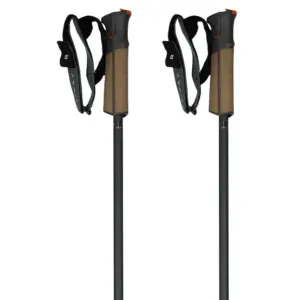 Fischer Gt 13 Comp Mag Stokken Flames
