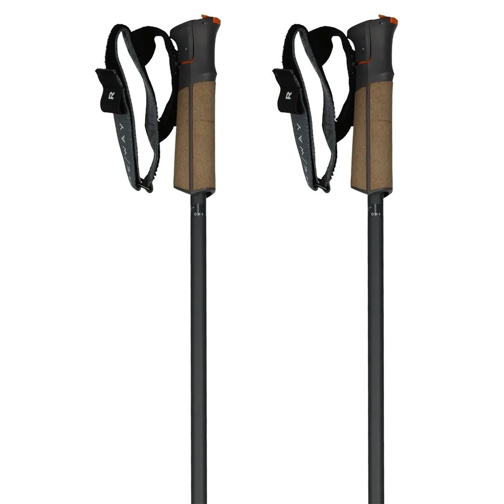 Fischer Gt 13 Comp Mag Stokken Flames