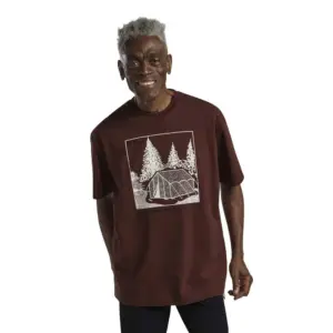Jack Wolfskin Freeroamer T-shirt Met Korte Mouwen Tent Dark Rust