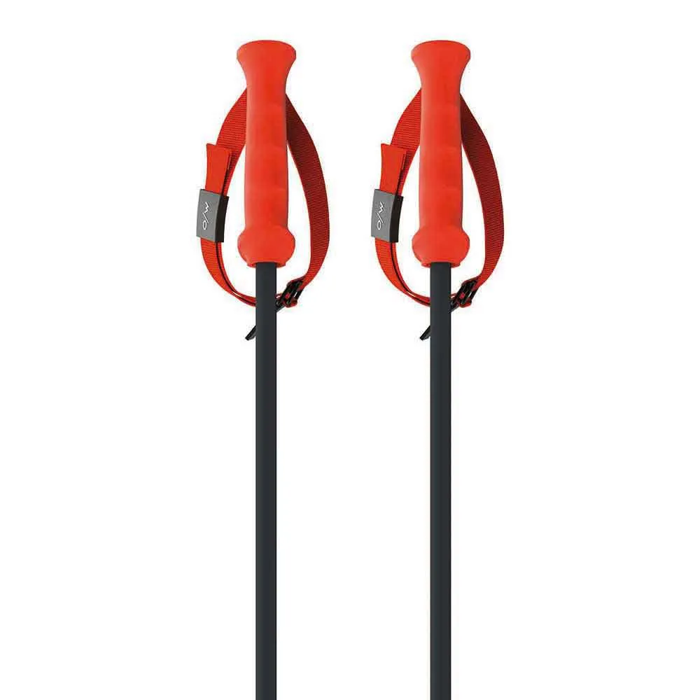 Fischer Rd 13 Carbon Stokken Zwart
