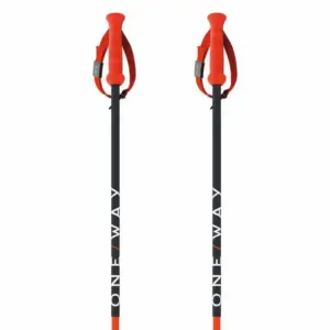 Fischer Rd 16 Sl Pro Stokken Zwart
