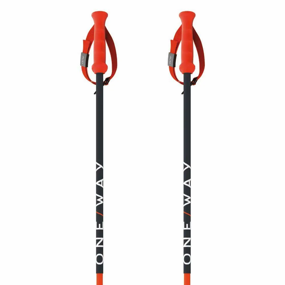 Fischer Rd 16 Sl Pro Stokken Zwart