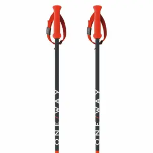 Fischer Rd Sl Junior Stokken Zwart