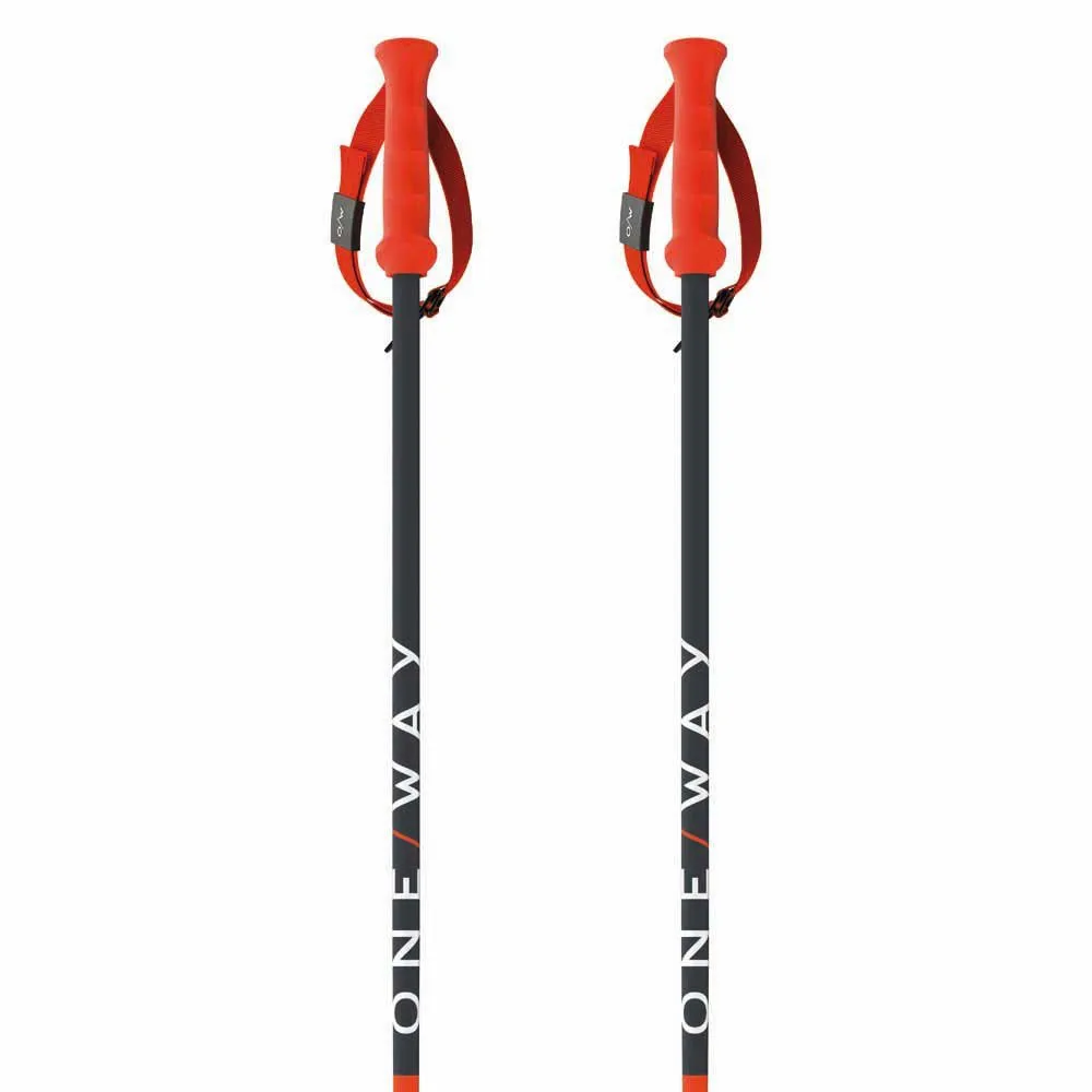 Fischer Rd Sl Junior Stokken Zwart
