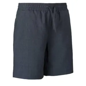 Ternua North River Korte Broek Grijs