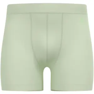 Odlo Merino 160 Boxers Ambrosia