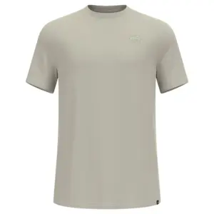 Odlo Raincloud Merino 160 T-shirt Met Korte Mouwen Grijs